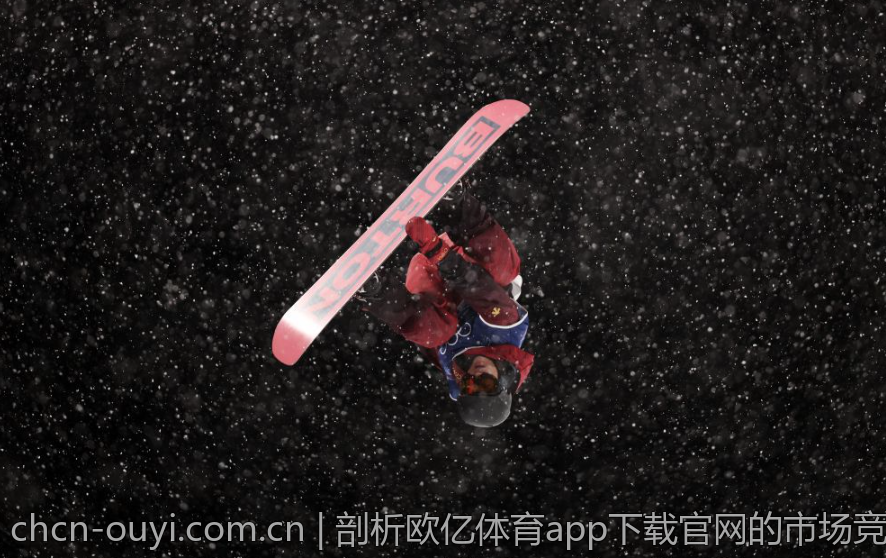 剖析欧亿体育app下载官网的市场竞争优势